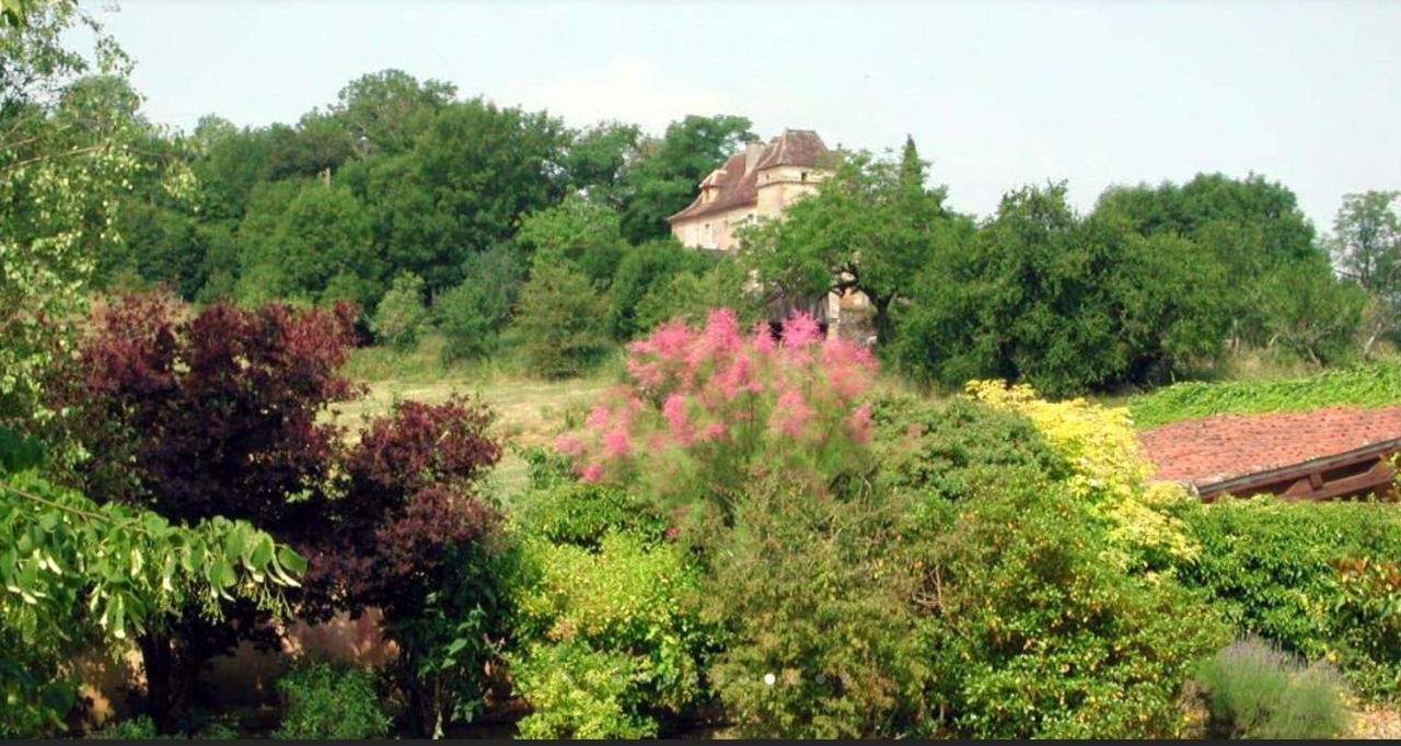 Chateau De Beduer And Vacation Homes Ngoại thất bức ảnh